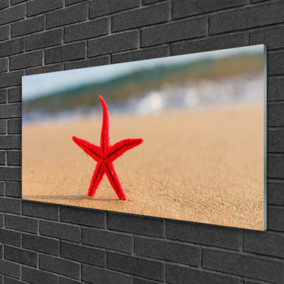 Quadro de vidro Arte de estrela do mar de praia