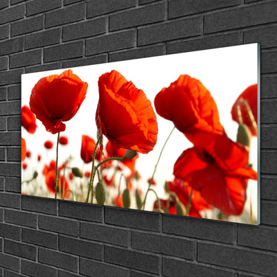 Pintura em vidro Tulipas Flores
