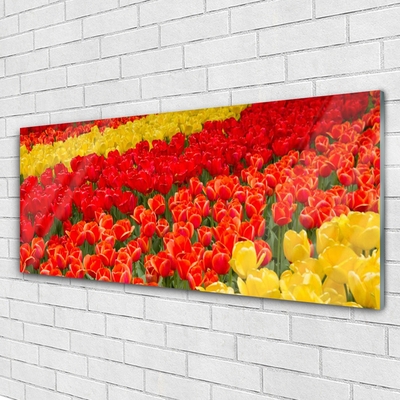 Pintura em vidro Tulipas Flores