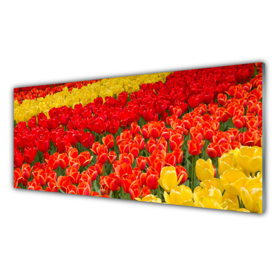Pintura em vidro Tulipas Flores