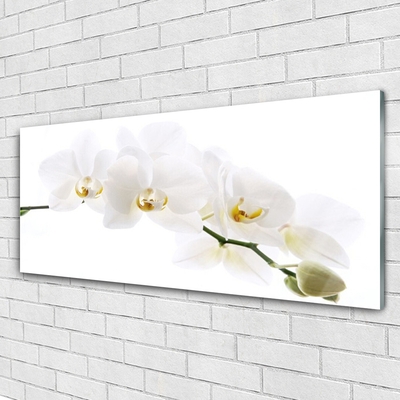 Quadro de vidro Flores de orquídea