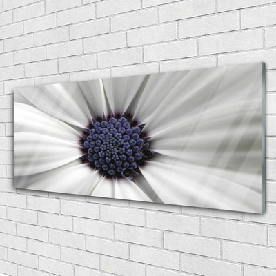 Quadro de vidro Planta de flores