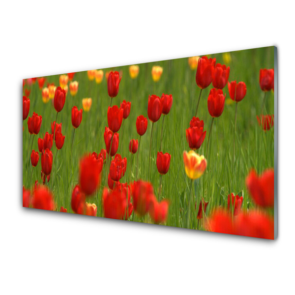 Quadro de vidro Planta de tulipas