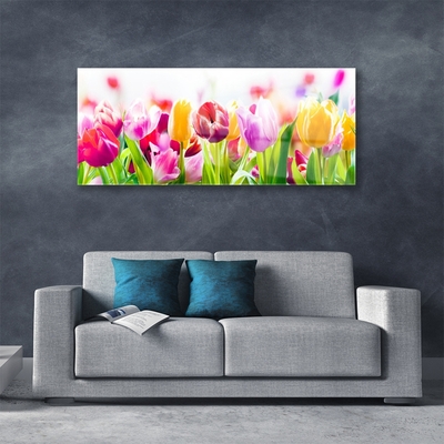 Quadro de vidro Tulipas Flores