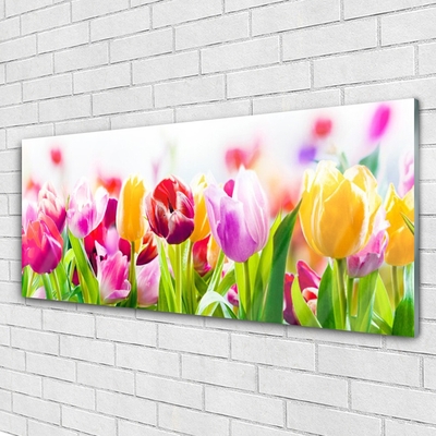 Quadro de vidro Tulipas Flores
