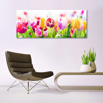 Quadro de vidro Tulipas Flores