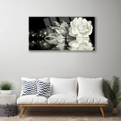 Quadro de vidro Planta de flor de rosa