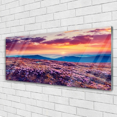 Quadro de vidro Prado Montanha Flores Natureza