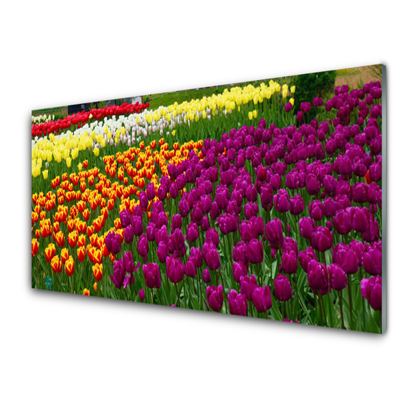 Pintura em vidro Tulipas Flores