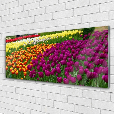 Pintura em vidro Tulipas Flores