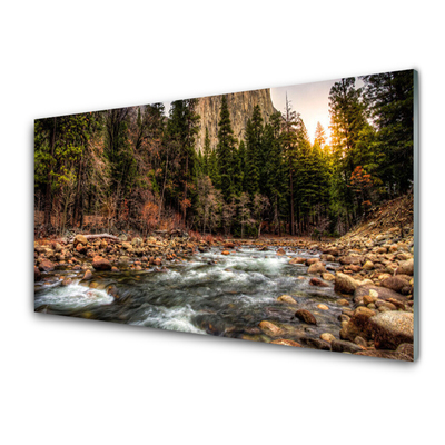 Quadro de vidro Lago Floresta Natureza Água