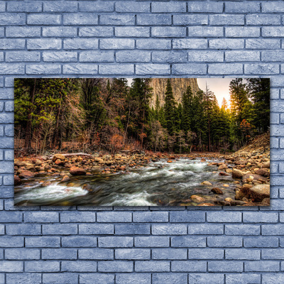 Quadro de vidro Lago Floresta Natureza Água