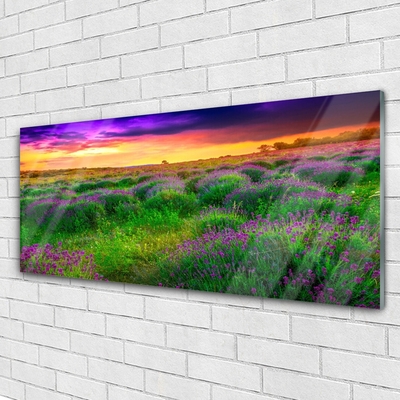 Quadro de vidro Prado da Natureza