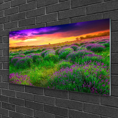 Quadro de vidro Prado da Natureza