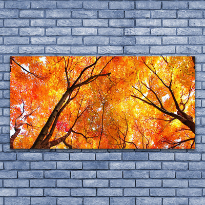 Quadro de vidro Árvores Natureza