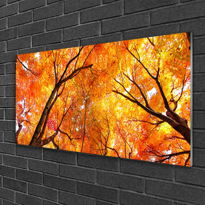 Quadro de vidro Árvores Natureza