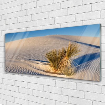 Quadro de vidro Paisagem desértica de areia