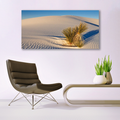 Quadro de vidro Paisagem desértica de areia