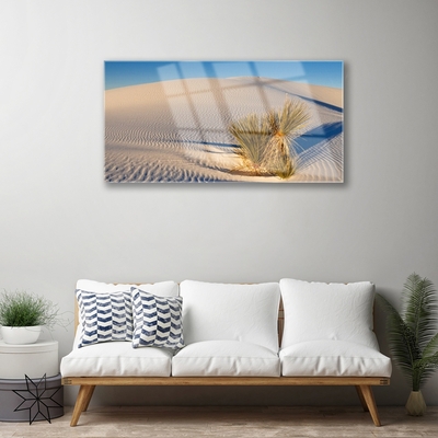 Quadro de vidro Paisagem desértica de areia