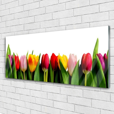 Pintura em vidro Planta de tulipas