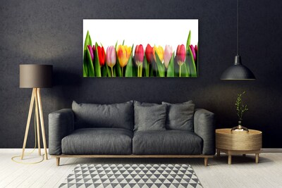 Pintura em vidro Planta de tulipas