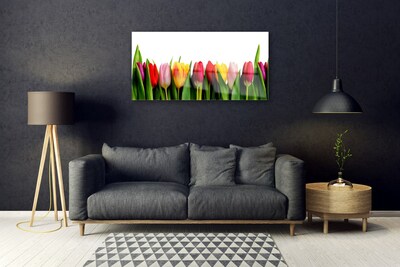 Pintura em vidro Planta de tulipas