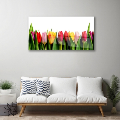 Pintura em vidro Planta de tulipas