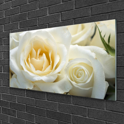 Quadro de vidro Flores de rosas