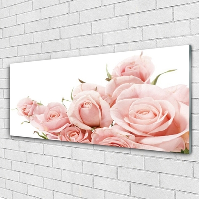 Quadro de vidro Planta de flores rosas