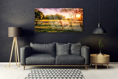 Quadro de vidro Cavalo Prado Animais Natureza