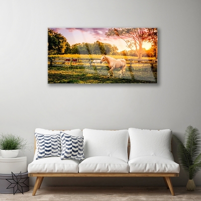 Quadro de vidro Cavalo Prado Animais Natureza