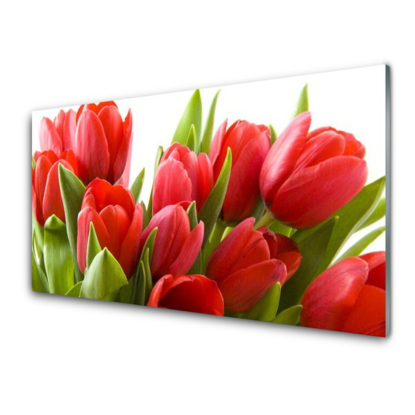 Pintura em vidro Tulipas Flores Planta