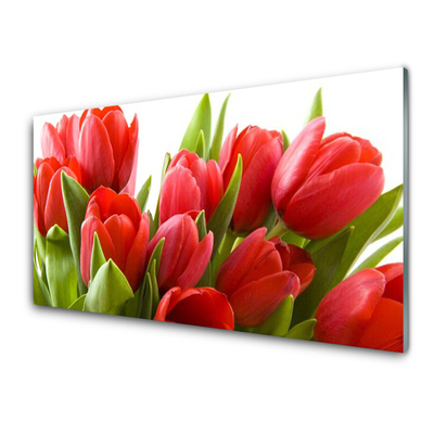 Pintura em vidro Tulipas Flores Planta