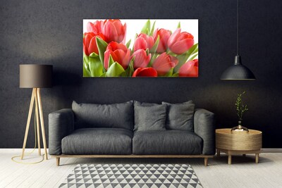 Pintura em vidro Tulipas Flores Planta
