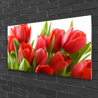 Pintura em vidro Tulipas Flores Planta