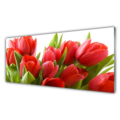 Pintura em vidro Tulipas Flores Planta