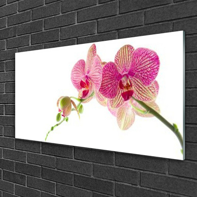 Quadro de vidro Planta de flores