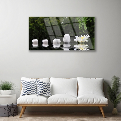 Quadro de vidro Flor de Lótus Nenúfar