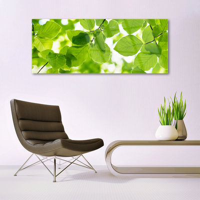 Pintura em vidro Folhas Natureza Planta