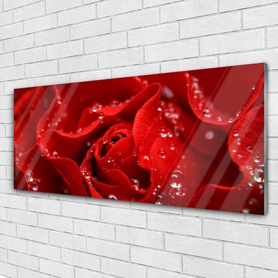 Pintura em vidro Rosa Flor Planta Natureza