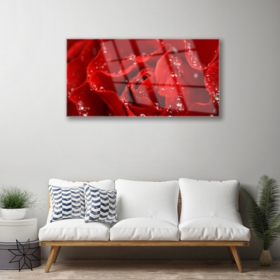 Pintura em vidro Rosa Flor Planta Natureza