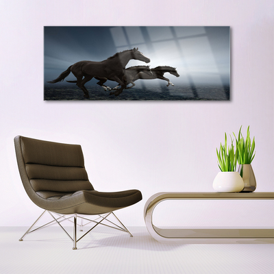 Quadro de vidro Cavalos Animais