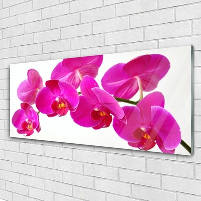 Quadro de vidro Planta de flores