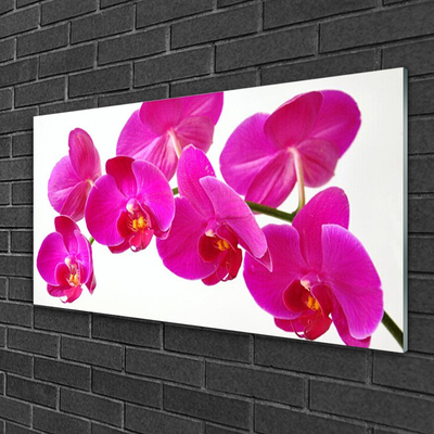 Quadro de vidro Planta de flores