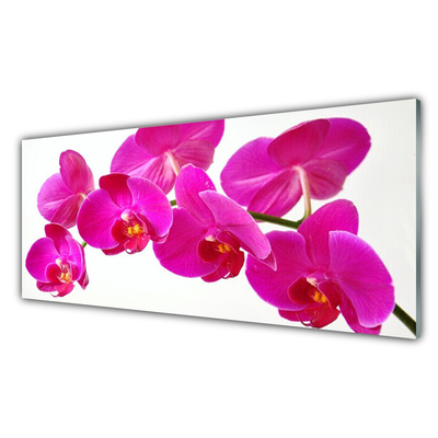Quadro de vidro Planta de flores
