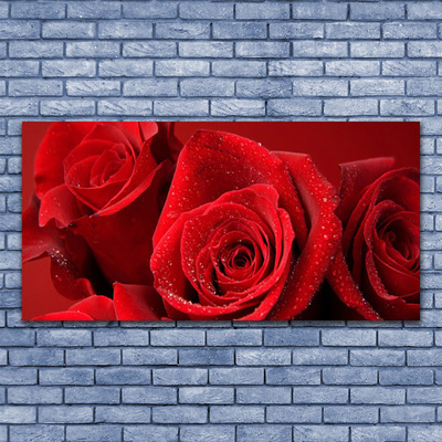 Quadro de vidro Flores de rosas