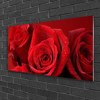 Quadro de vidro Flores de rosas