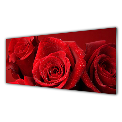 Quadro de vidro Flores de rosas