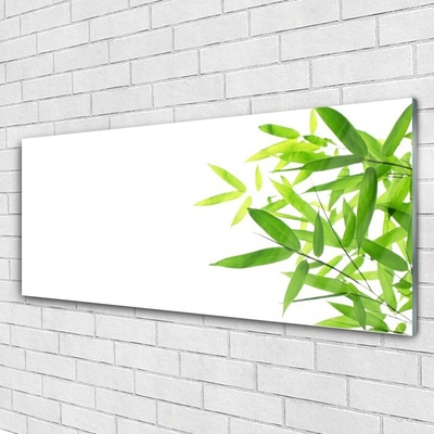 Quadro de vidro Folhas Natureza Planta