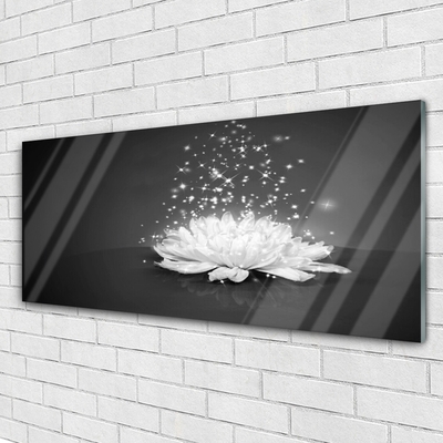 Pintura em vidro Flor Planta Natureza